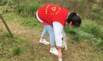QQ图片20190325071115.png