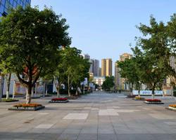 杨柳校区校园大道